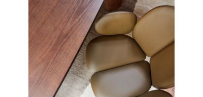 chaise - fr&ecirc;ne teint&eacute; image num&eacute;ro 15