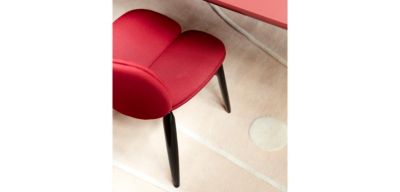 chaise - fr&ecirc;ne teint&eacute; image num&eacute;ro 18