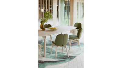 chaise - fr&ecirc;ne teint&eacute; image num&eacute;ro 6