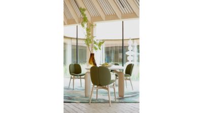 chaise - fr&ecirc;ne teint&eacute; image num&eacute;ro 5