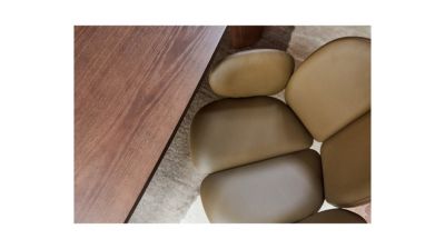 Bridge de fresno n&uacute;mero de imagen 7