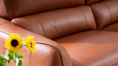 Canap&eacute; 3 places relax | t&ecirc;ti&egrave;res fixes image num&eacute;ro 5