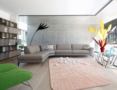 &Aacute;ngulo/m&eacute;ridienne maxi panor&aacute;mico derecha r&eacute;flexion imagen ambiental