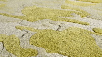rug image number 1