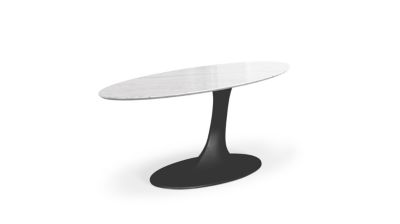 table de repas ovale image num&eacute;ro 1