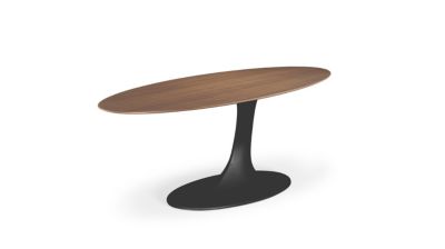 oval dining table speed up image number 1