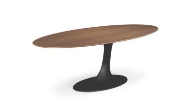 oval dining table  speed up image number 1
