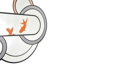 KOI Mirror image number 2