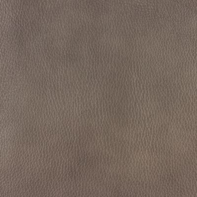 Cuir Premio (PE) : Elephant Grey