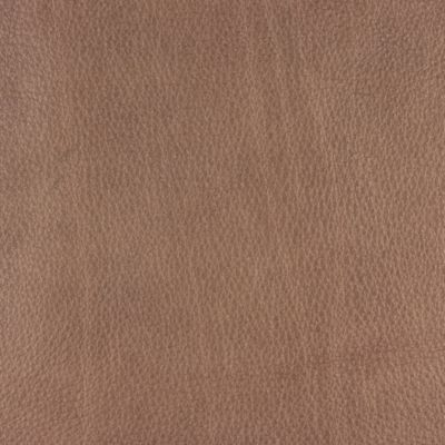 Cuir Premio (PE) : Cocoa