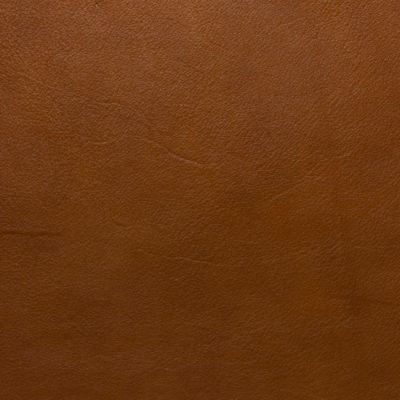 Cuir Silky (SK) : Caramel