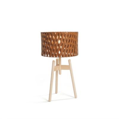 Lampe damy visuel produit