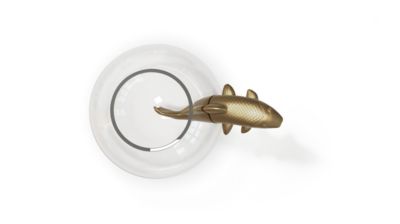 vase no limit image number 1