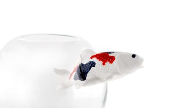 vase no limit image number 1