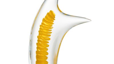 Objeto n&uacute;mero de imagen 1