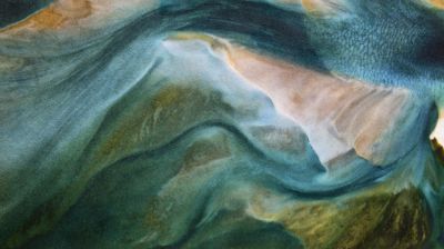 cushion shark bay image number 1