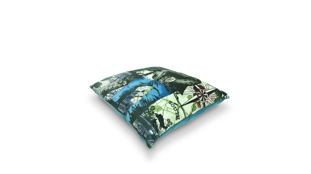 Ticket To Ride cushion image number 1