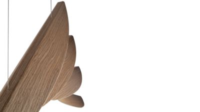 Double suspension image number 1