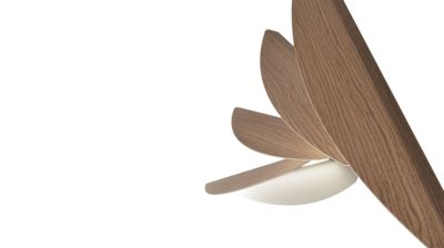 Double suspension image number 2