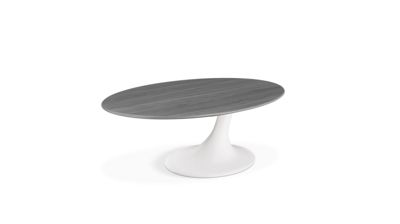 Oval cocktail table  speed up product image