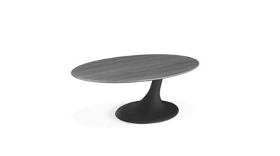 Oval cocktail table  speed up product image