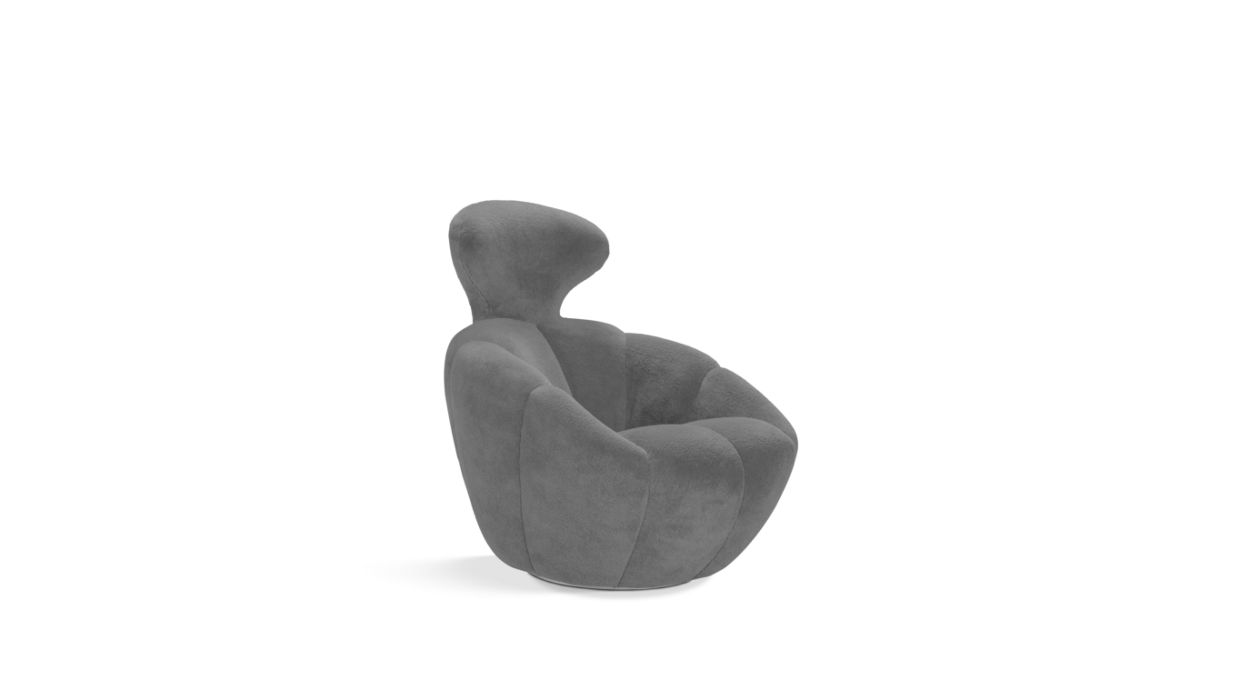 fauteuil image number 1